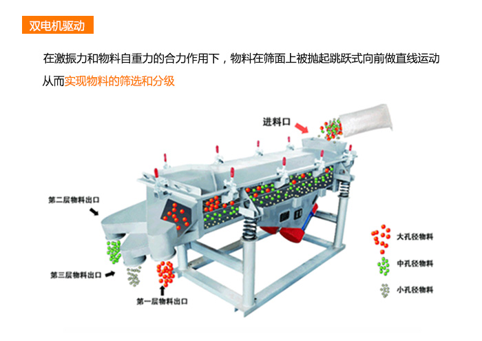 直线筛分机多层出料筛分轨迹展示图